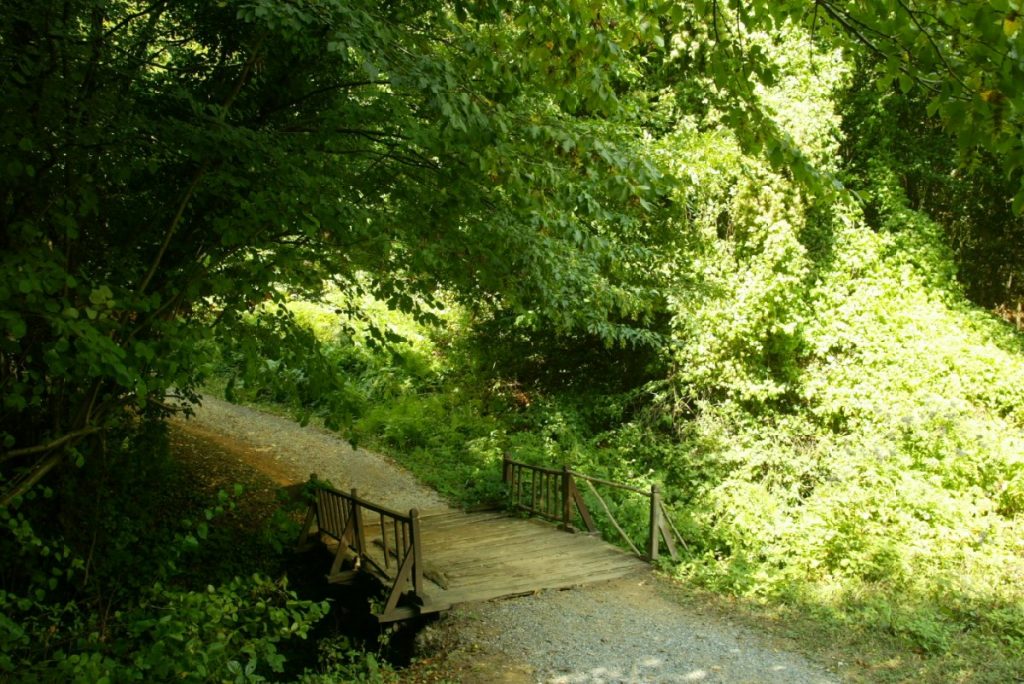 İstanbul'a yakın yerlerde hem deniz hem piknik! Denize de girilebilen en güzel piknik alanları!