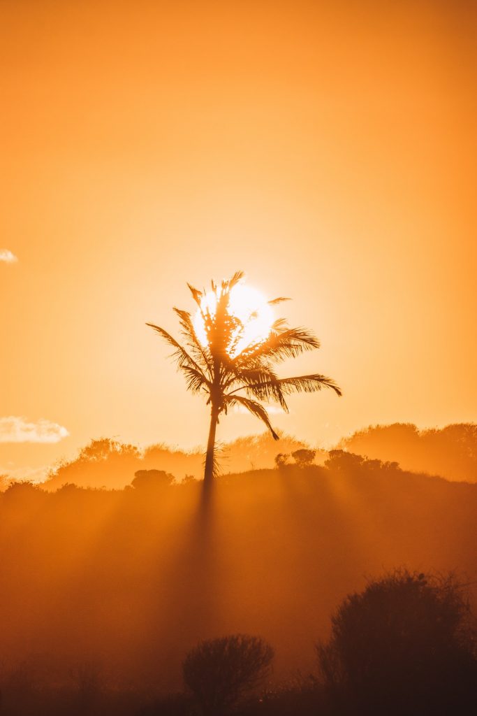 Zararlı güneş ışınlarına karşı en etkili 5 yöntem!