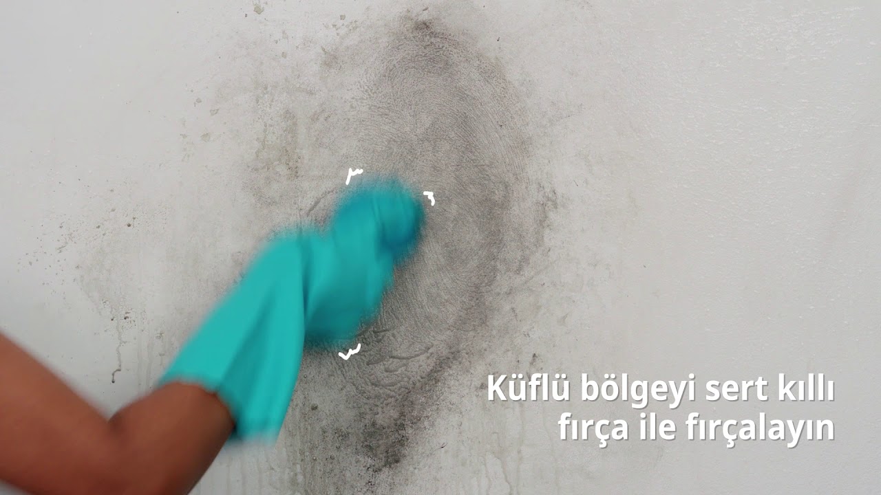 rutubetli duvar temizliği